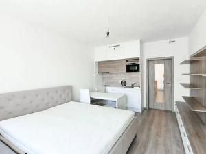 Pronájem bytu 1+kk, Praha - Vršovice, Petrohradská, 34 m2