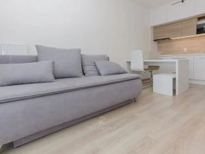 Pronájem bytu 1+kk, Praha - Vršovice, Petrohradská, 34 m2