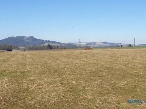 Prodej louky, Police nad Metují, 8000 m2
