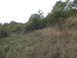 Dražba louky, Řehlovice, 22441 m2