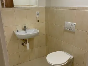 Pronájem bytu 1+kk, Brno, Provazníkova, 33 m2