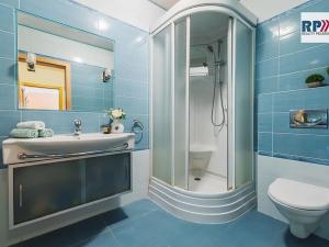 Prodej rodinného domu, Šestajovice, Potoční, 320 m2