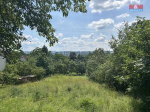 Prodej pozemku pro bydlení, Lešná, 765 m2