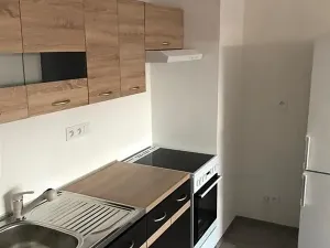 Pronájem bytu 2+kk, Plzeň, Poděbradova, 58 m2