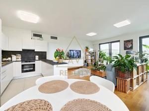 Pronájem bytu 4+kk, Praha - Žižkov, Olšanská, 100 m2
