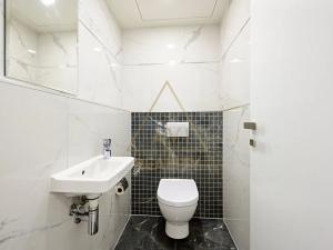 Pronájem bytu 4+kk, Praha - Žižkov, Olšanská, 100 m2