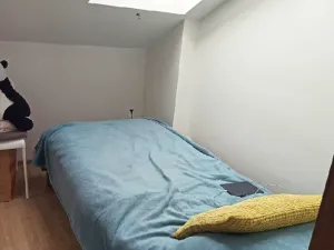 Pronájem bytu 1+1, Praha - Nusle, Táborská, 25 m2