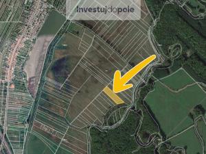 Prodej pole, Kostice, 8699 m2