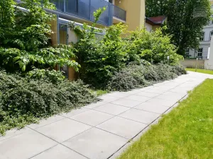 Pronájem bytu 3+kk, Brno, Vídeňská, 67 m2