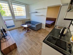 Pronájem bytu 1+1, Praha - Braník, Jílovská, 33 m2