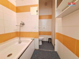 Pronájem bytu 1+kk, Ostrava - Moravská Ostrava, U Parku, 25 m2