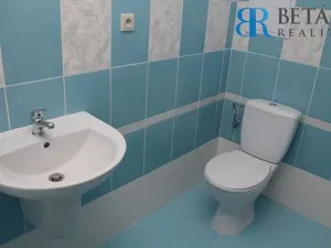 Prodej bytu 1+1, Přerov, Bayerova, 33 m2