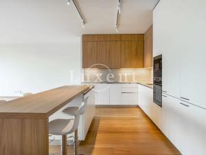 Pronájem bytu 4+kk, Praha - Smíchov, Holečkova, 174 m2