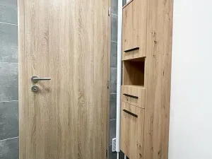 Pronájem bytu 1+1, Ostrava, 29. dubna, 29 m2