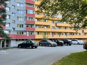 Pronájem bytu 1+1, Ostrava, 29. dubna, 29 m2