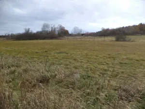 Dražba louky, Neurazy, 4319 m2