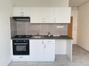 Pronájem bytu 1+1, Litvínov, Čapkova, 38 m2