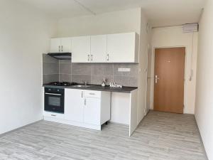 Pronájem bytu 1+1, Litvínov, Čapkova, 38 m2