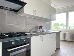 Pronájem bytu 2+1, Litvínov, Čapkova, 67 m2
