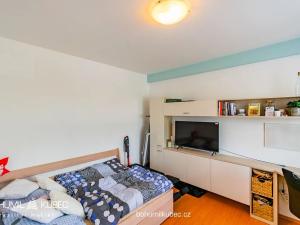 Pronájem bytu 1+kk, Tábor, Kpt. Jaroše, 27 m2