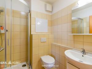 Pronájem bytu 1+kk, Tábor, Kpt. Jaroše, 27 m2