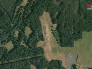Prodej lesa, Suchdol nad Lužnicí - Klikov, 20271 m2