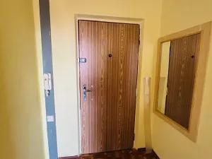 Prodej bytu 2+kk, Litoměřice, Liškova, 40 m2