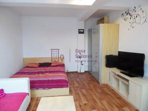 Pronájem bytu 1+1, Jindřichův Hradec, Bratrská, 40 m2