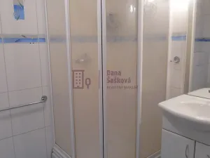 Pronájem bytu 1+1, Jindřichův Hradec, Bratrská, 40 m2