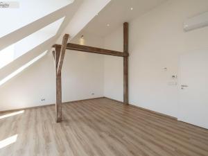 Pronájem bytu 2+kk, Praha - Bubeneč, Národní obrany, 80 m2