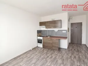 Pronájem bytu 1+1, Klášterec nad Ohří, Pionýrů, 35 m2