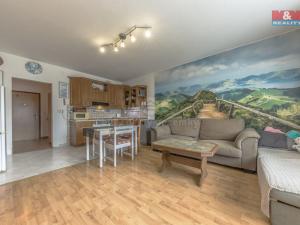 Prodej bytu 2+kk, Mladá Boleslav - Mladá Boleslav II, 17. listopadu, 57 m2