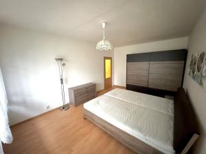 Pronájem bytu 3+1, Liberec, Na Bojišti, 85 m2