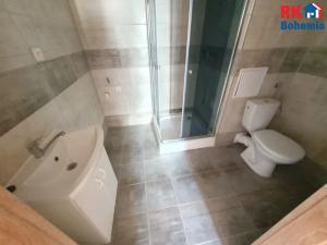 Prodej atypického bytu, Litvínov, Hamerská, 352 m2