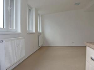 Pronájem bytu 1+kk, Světnov, 32 m2
