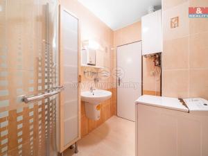 Pronájem bytu 1+1, Praskolesy, 30 m2