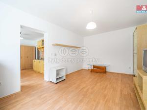 Pronájem bytu 1+1, Praskolesy, 30 m2