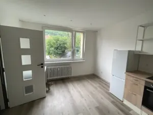 Pronájem bytu 1+1, Ústí nad Labem, Tolstého, 37 m2