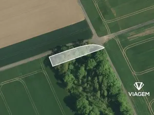 Prodej lesa, Měrovice nad Hanou, 482 m2