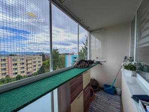 Prodej bytu 3+1, Krupka, Sídliště Nad plovárnou, 76 m2