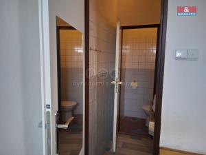 Pronájem výrobních prostor, Běstovice, 113 m2