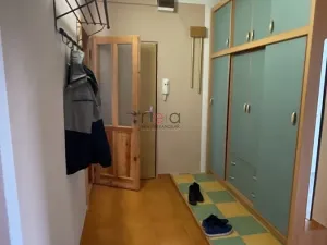 Pronájem bytu 2+1, Nový Bor, 63 m2