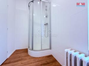 Pronájem bytu 1+kk, Tanvald, Krkonošská, 23 m2