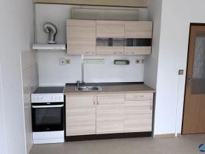 Pronájem bytu 1+1, Česká Třebová, 41 m2