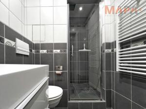 Pronájem bytu 1+1, Chomutov, Písečná, 36 m2