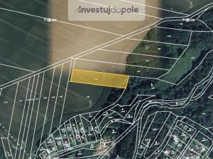 Prodej pole, Doubravice nad Svitavou, Hamry, 4120 m2
