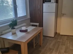 Prodej bytu 1+1, Brno, 45 m2