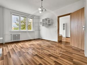Prodej bytu 1+1, Chodov, Čapkova, 38 m2