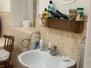 Prodej rodinného domu, Líský, 300 m2