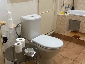 Prodej rodinného domu, Líský, 300 m2